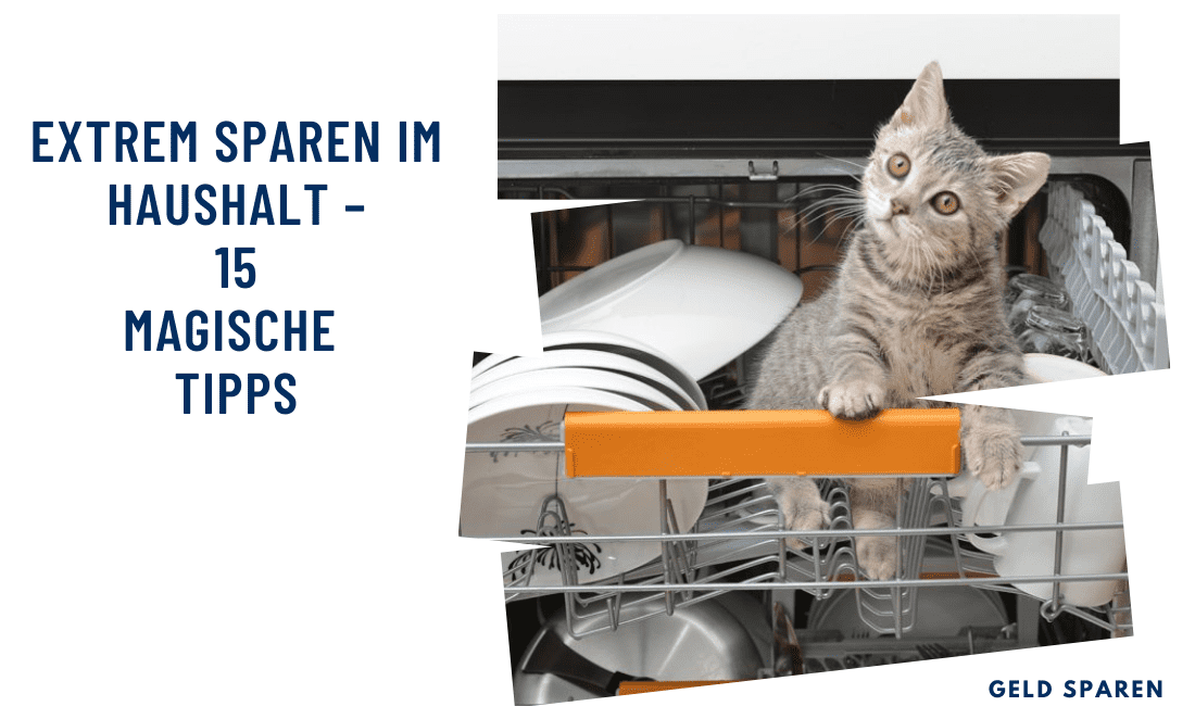 Ein Bild einer Katze in einer Spülmaschine mit der Aufschrift „extrem sparen Haushalt“.