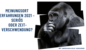 MeinungsOrt Erfahrungen 2021 – seriös oder Zeitverschwendung?